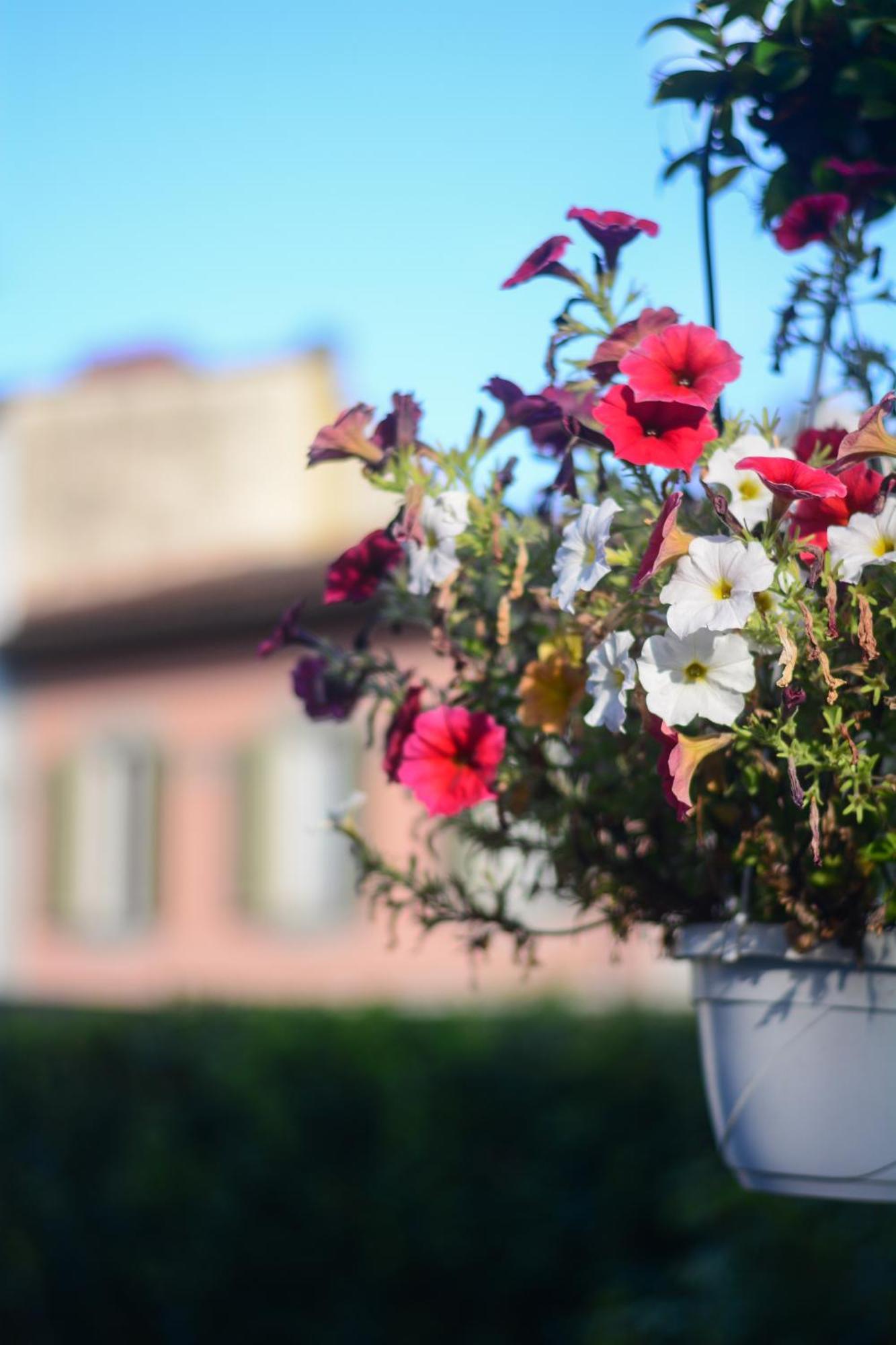 Gelsomino Garden 2* Florencia